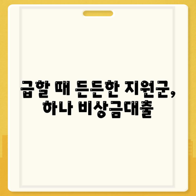 하나 비상금대출