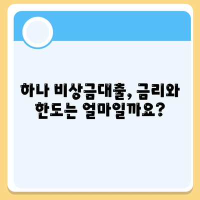 하나 비상금대출