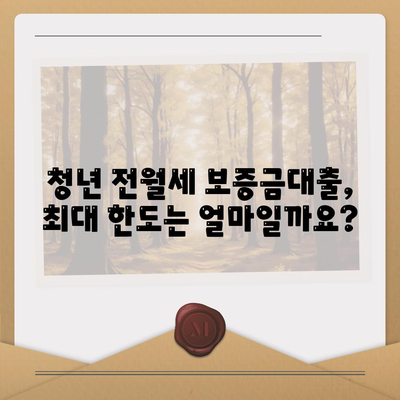 청년 전월세 보증금대출 요건 및 한도