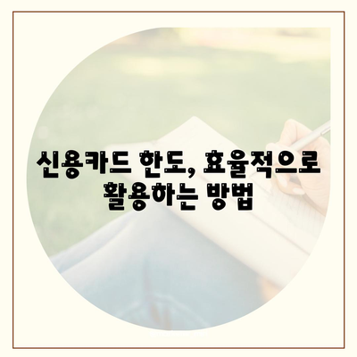 신용카드 잔여 한도를 최대 활용하는 팁