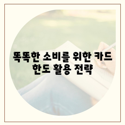 신용카드 잔여 한도를 최대 활용하는 팁