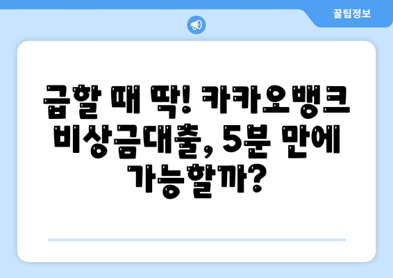 카카오뱅크 비상금대출