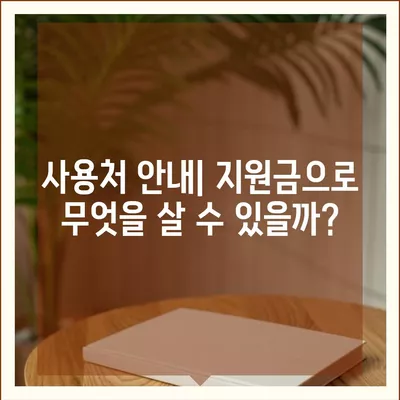 대전시 중구 산성동 민생회복지원금 | 신청 | 신청방법 | 대상 | 지급일 | 사용처 | 전국민 | 이재명 | 2024