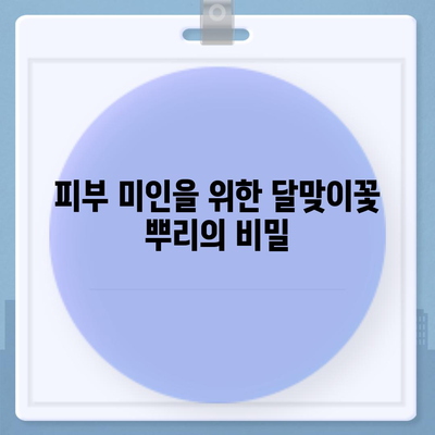 달맞이꽃 뿌리의 놀라운 효능 7가지 | 건강, 피부, 항염증, 면역력, 부작용