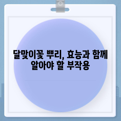 달맞이꽃 뿌리의 놀라운 효능 7가지 | 건강, 피부, 항염증, 면역력, 부작용