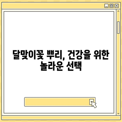 달맞이꽃 뿌리의 놀라운 효능 7가지 | 건강, 피부, 항염증, 면역력, 부작용