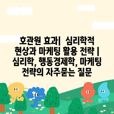 호관원 효과|  심리학적 현상과 마케팅 활용 전략 | 심리학, 행동경제학, 마케팅 전략