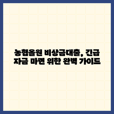 농협올원 비상금대출, 긴급 자금 마련 위한 완벽 가이드 | 농협, 비상금 대출, 금리, 신청 방법, 조건