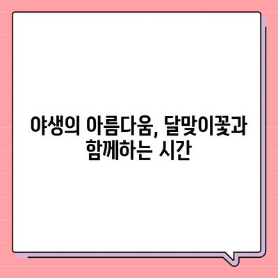 달맞이꽃의 매력, 밤하늘을 수놓는 아름다움 | 야생화, 꽃말, 효능, 재배