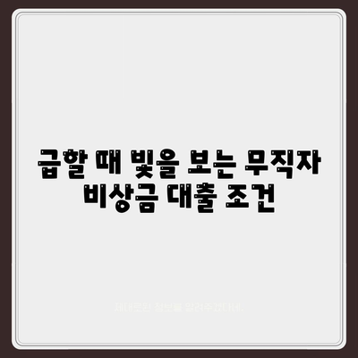 무직자 비상금대출