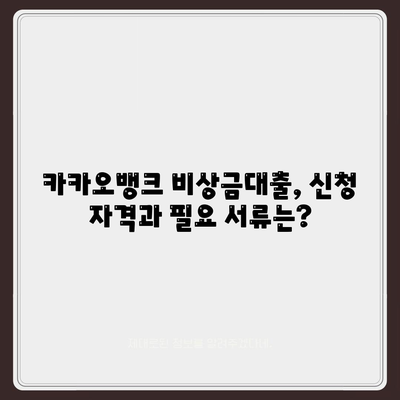 카카오뱅크 비상금대출