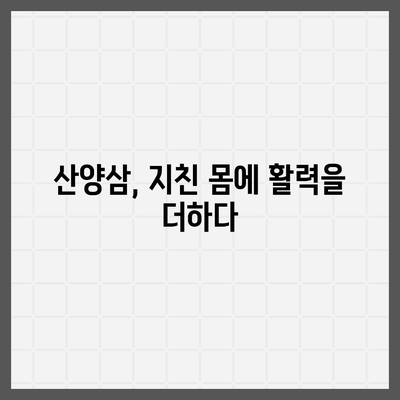 산양삼의 놀라운 효능 7가지 | 건강, 면역력, 항암 효과, 혈액순환, 스태미너, 피부미용, 기력 회복