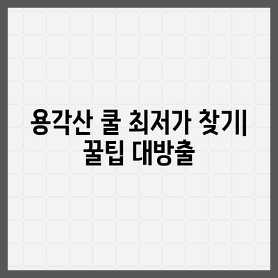 용각산 쿨 가격 비교 | 어디서 가장 저렴하게 살 수 있을까요? | 용각산 쿨, 가격 비교, 최저가, 온라인 구매