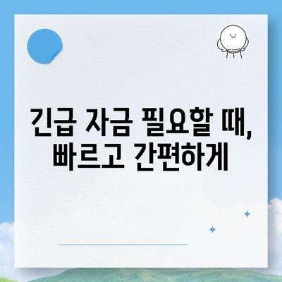 하나 비상금대출