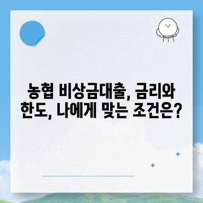 농협올원 비상금대출, 긴급 자금 마련 위한 완벽 가이드 | 농협, 비상금 대출, 금리, 신청 방법, 조건