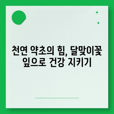 달맞이꽃 잎의 놀라운 효능 7가지 | 건강, 피부, 면역력, 천연 약초, 달맞이꽃 효능, 달맞이꽃 잎