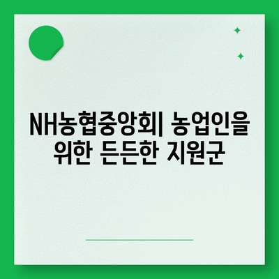 NH농협중앙회 vs 농협은행| 차이점 완벽 정리 | 농협, 금융, 은행, 협동조합, 차이, 비교