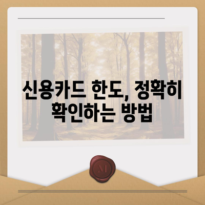 신용카드 잔액 한도, 정확히 인정받는 방법| 나에게 맞는 한도 확인 및 상향 전략 | 신용카드, 한도, 상향, 신용점수, 금융 팁