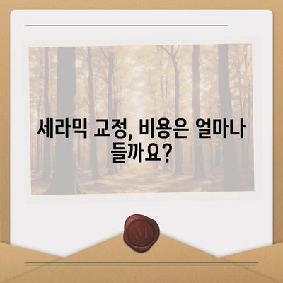 세라믹 교정 가격 비교 가이드 | 치아교정 비용, 장점, 부작용, 추천