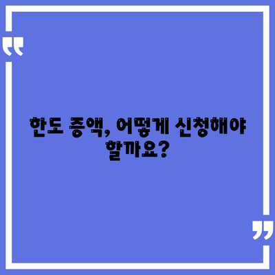 신용카드 잔액 한도, 정확하게 인정하는 방법