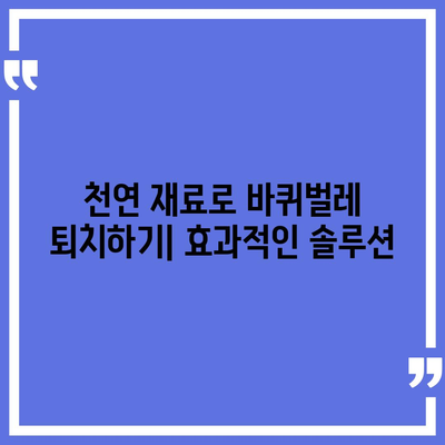 세스코 바퀴벌레 퇴치법 완벽 가이드| 집에서 바퀴벌레 없애는 10가지 방법 | 바퀴벌레, 퇴치, 해충, 살충제, 천연 퇴치법