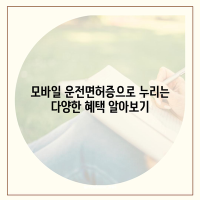 모바일 운전면허증 사용 가이드 | 발급, 사용, 혜택, 주의사항