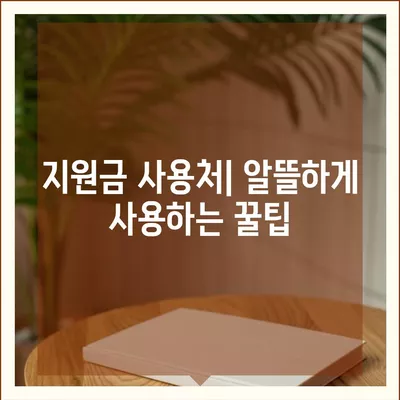 서울시 관악구 서림동 민생회복지원금 | 신청 | 신청방법 | 대상 | 지급일 | 사용처 | 전국민 | 이재명 | 2024