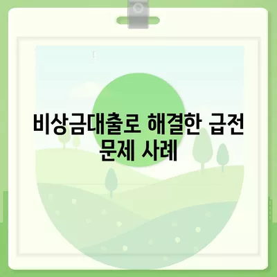 카카오뱅크 비상금대출 후기| 이용 경험과 추천 팁을 모두 공개합니다! | 비상금대출, 대출 후기, 카카오뱅크"