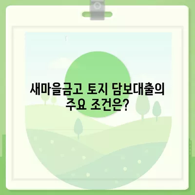 새마을금고, 수협, 농협, 신협의 토지 담보대출 요점 정리와 성공적인 신청 팁 | 대출 가이드, 금융 상품, 부동산 지식