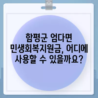 전라남도 함평군 엄다면 민생회복지원금 | 신청 | 신청방법 | 대상 | 지급일 | 사용처 | 전국민 | 이재명 | 2024