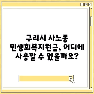 경기도 구리시 사노동 민생회복지원금 | 신청 | 신청방법 | 대상 | 지급일 | 사용처 | 전국민 | 이재명 | 2024