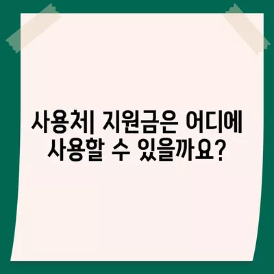 서울시 동작구 신대방제2동 민생회복지원금 | 신청 | 신청방법 | 대상 | 지급일 | 사용처 | 전국민 | 이재명 | 2024