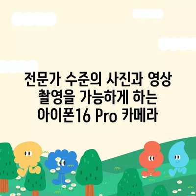 아이폰16 Pro 카메라 | 프로 사진가의 필수품