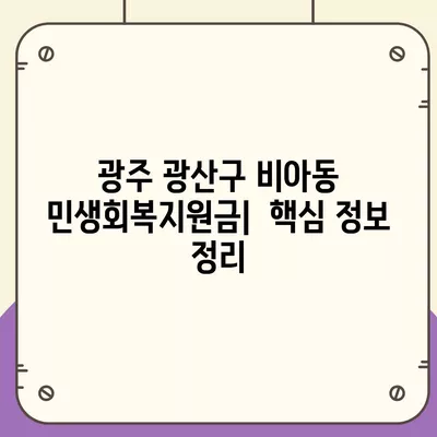 광주시 광산구 비아동 민생회복지원금 | 신청 | 신청방법 | 대상 | 지급일 | 사용처 | 전국민 | 이재명 | 2024