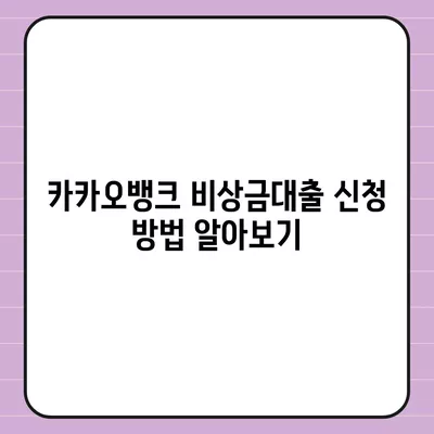 카카오뱅크 비상금대출 후기| 이용 경험과 추천 팁을 모두 공개합니다! | 비상금대출, 대출 후기, 카카오뱅크"