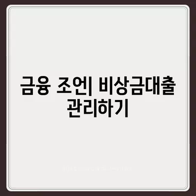 카카오뱅크 비상금대출 상환 방법 및 팁 | 비상금대출, 상환계획, 금융조언"