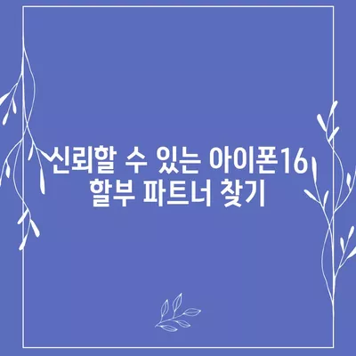 아이폰16 할부 기관 추천 | 신뢰할 수 있는 파트너