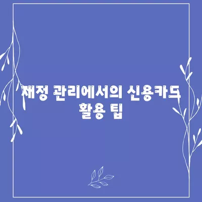 신용카드 잔액 한도, 정확하게 인정하는 방법과 팁 | 신용카드, 재정 관리, 신용 점수