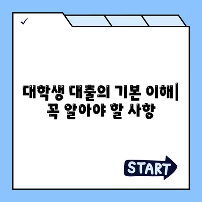 대학생 대출에 대한 법적 보호와 권리 가이드 | 대출, 법적 보호, 대학생 권리