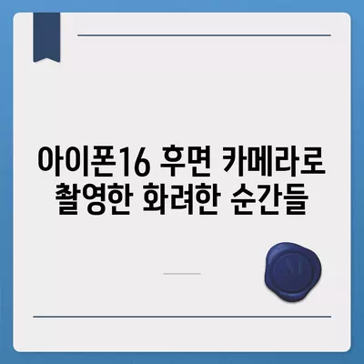 아이폰16 후면 카메라, Pro 모델에 전문적인 사진 기능 제공