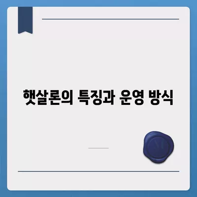 미소금융 창업 운영 자금대출의 중요 사항과 햇살론과의 차이점 분석 | 창업자금, 대출 비교, 금융 지원"