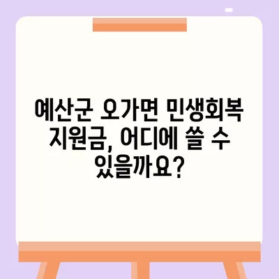 충청남도 예산군 오가면 민생회복지원금 | 신청 | 신청방법 | 대상 | 지급일 | 사용처 | 전국민 | 이재명 | 2024