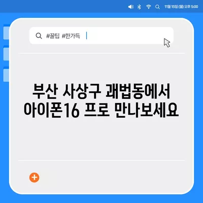 부산시 사상구 괘법동 아이폰16 프로 사전예약 | 출시일 | 가격 | PRO | SE1 | 디자인 | 프로맥스 | 색상 | 미니 | 개통