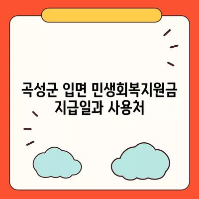 전라남도 곡성군 입면 민생회복지원금 | 신청 | 신청방법 | 대상 | 지급일 | 사용처 | 전국민 | 이재명 | 2024