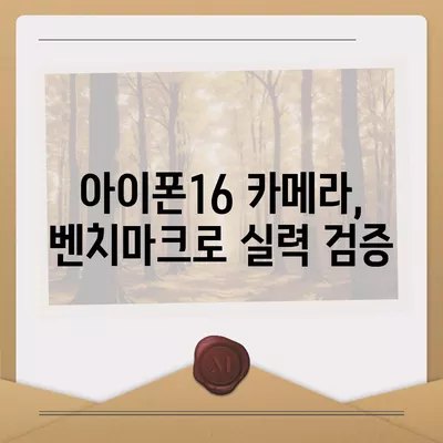 아이폰16의 카메라 성능을 벤치마크로 측정하기