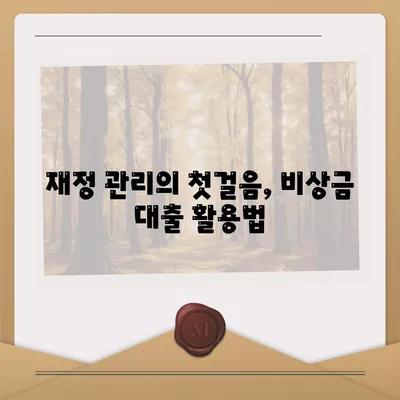 ‘핀다 비상금대출 후기| 당신의 재정 위기를 해결해 줄 비상금 찾기!’ | 비상금대출, 후기, 재정 관리