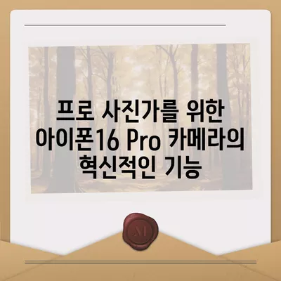 아이폰16 Pro 카메라 | 프로 사진가의 필수품