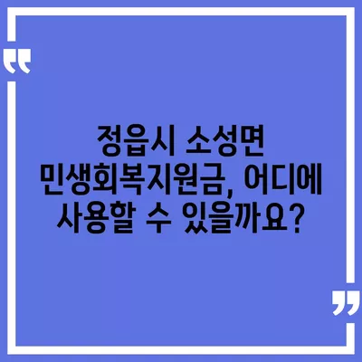 전라북도 정읍시 소성면 민생회복지원금 | 신청 | 신청방법 | 대상 | 지급일 | 사용처 | 전국민 | 이재명 | 2024