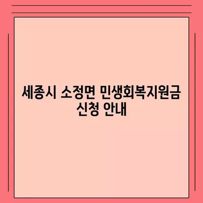 세종시 세종특별자치시 소정면 민생회복지원금 | 신청 | 신청방법 | 대상 | 지급일 | 사용처 | 전국민 | 이재명 | 2024