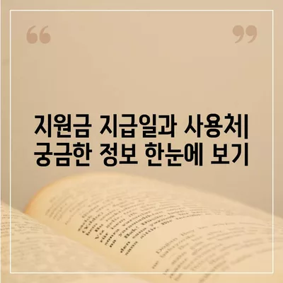 서울시 중구 을지로동 민생회복지원금 | 신청 | 신청방법 | 대상 | 지급일 | 사용처 | 전국민 | 이재명 | 2024